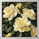 Buscar gardenias posters Motivos florales
