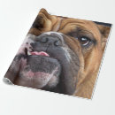 Buscar bulldog papel de regalo Amante de los perros