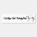 Buscar del pingüino pegatinas parachoque Salvaje