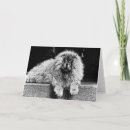 Buscar mullido tarjetas Canino