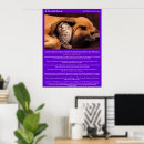 Buscar joven posters Para todos