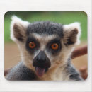Buscar lemur electronica Lindo