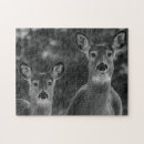 Buscar bosque blanco y negro puzzles Vida silvestre