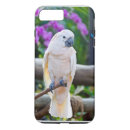 Buscar paraguas iphone fundas Animales