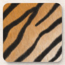 Buscar gato negro posavasos Amante de los animales