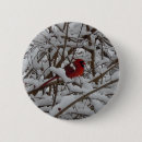Buscar cardenales redondos pins Escarlata
