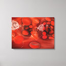 Buscar vasos sanguíneos lienzos Ilustraciones biomédicos