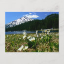 Buscar bachelor postales Lago