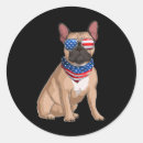 Buscar caniche francés pegatinas Laboratorio amarillo