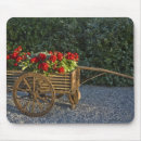 Buscar geranios alfombrillas de raton Flor