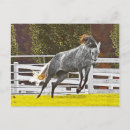 Buscar caballo feliz postales General y unisex