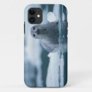 Buscar mamífero marino fundas Alaska