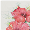 Buscar flores exóticas telas Hibisco