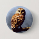 Buscar búhos chapas Fauna