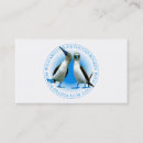 Buscar boobie Ecuador