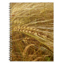 Buscar campo de trigo cuadernos Cosecha