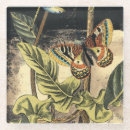 Buscar estudio posavasos Botánico