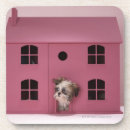 Buscar dollhouse Descubrimiento