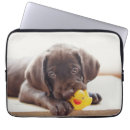 Buscar juguetes fundas Lindo