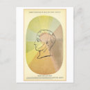 Buscar anatomía postales Ilustracion