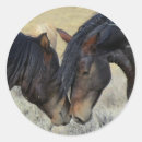 Buscar caballo pinto pegatinas Equino
