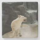 Buscar lobo posavasos Naturaleza
