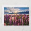 Buscar cook tarjetas Cordillera