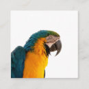 Buscar zoológico tarjetas de visita Pájaro