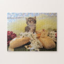 Buscar bailarinas del ballet juguetes General y unisex