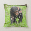 Buscar chimpancé cojines África