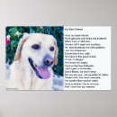 Buscar poemas sobre perros posters Amor