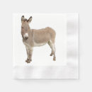 Buscar burro fotografía Divertido