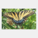 Buscar torta rectangulares pegatinas Mariposa
