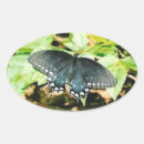 Buscar crudo fotografía Para todos