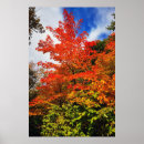 Buscar árbol de halloween posters 1 º caída