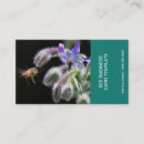 Buscar abeja fotografía Abejas