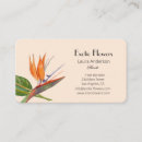 Buscar pájaros tarjetas de visita Elegante