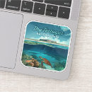 Buscar tortuga pegatinas Florida