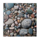 Buscar piedras de la playa azulejos Roca
