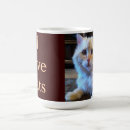 Buscar amo animales tazas Gatito