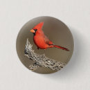 Buscar matador chapas Vida silvestre