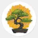 Buscar bonsai pegatinas Japón
