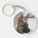 Buscar belgas llaveros Malinois