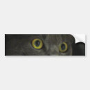 Buscar gato gris pegatinas parachoque Felino