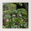 Buscar terracota puzzles Plantas