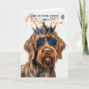 Buscar griffon tarjetas Amante del perro