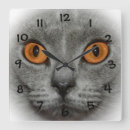 Buscar ojos gato de relojes de pared Animal