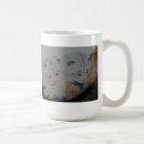 Buscar lince tazas Animales
