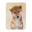 Buscar ken imanes Shiba