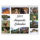 Buscar leopardo calendarios Gatos